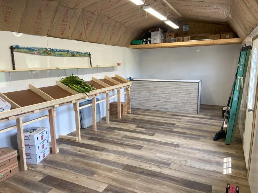Shed, insulation, electrical, wiring, lighting, outdoor, she shed
